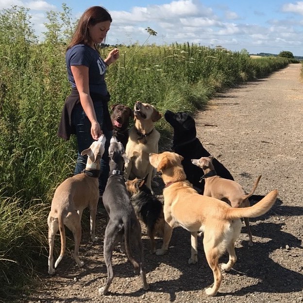 Dog Walks in Cheltenham Gloucestershire